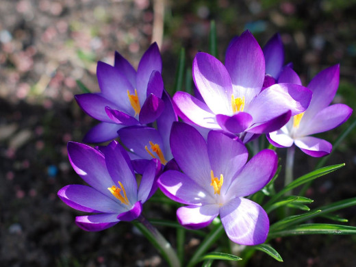 432594 (a): :1600x1200